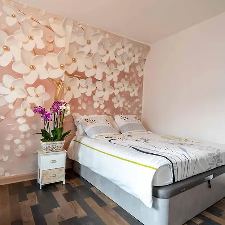 Maison Des Orchidees * Montélimar