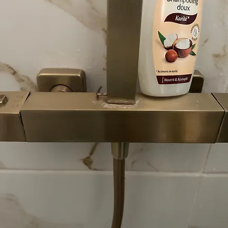 Maison Des Orchidees